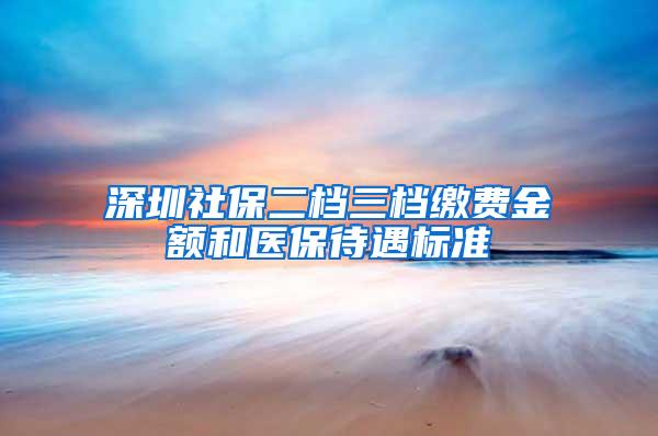 深圳社保二档三档缴费金额和医保待遇标准