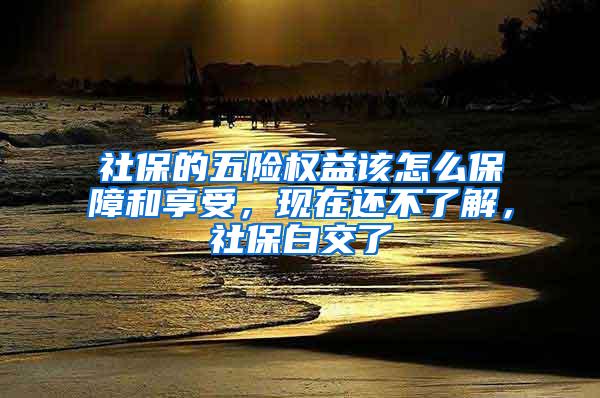 社保的五险权益该怎么保障和享受，现在还不了解，社保白交了