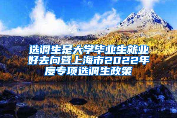 选调生是大学毕业生就业好去向暨上海市2022年度专项选调生政策