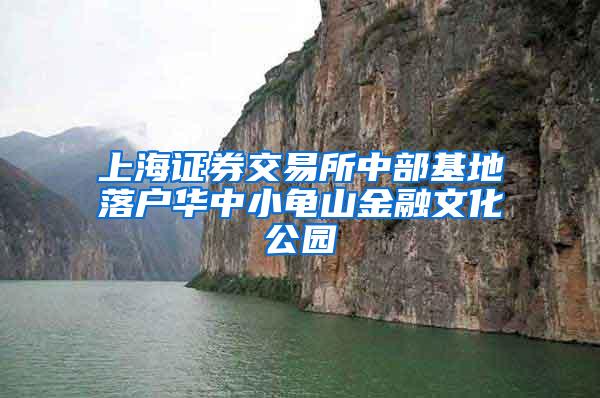 上海证券交易所中部基地落户华中小龟山金融文化公园