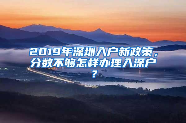 2019年深圳入户新政策，分数不够怎样办理入深户？