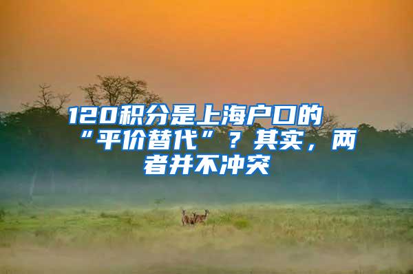 120积分是上海户口的“平价替代”？其实，两者并不冲突