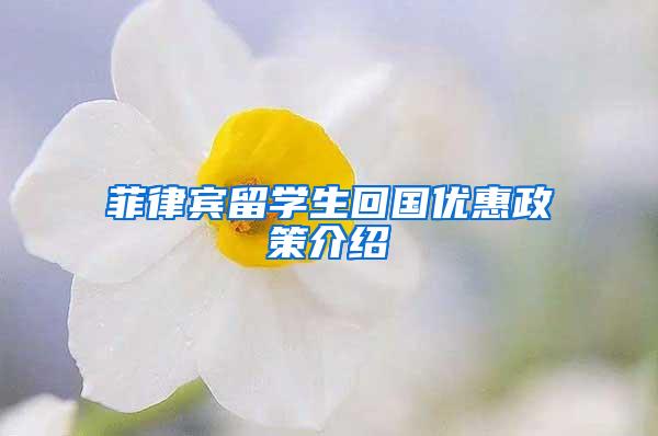 菲律宾留学生回国优惠政策介绍