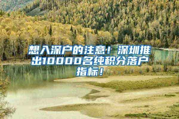 想入深户的注意！深圳推出10000名纯积分落户指标！