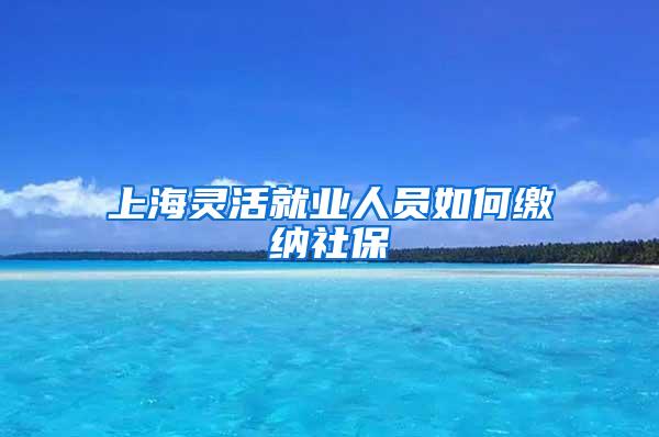 上海灵活就业人员如何缴纳社保