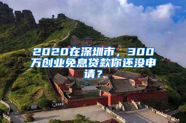 2020在深圳市，300万创业免息贷款你还没申请？