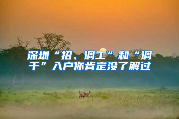 深圳“招、调工”和“调干”入户你肯定没了解过