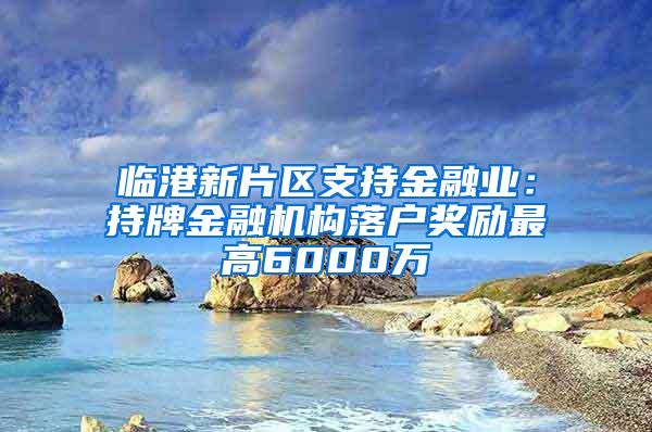 临港新片区支持金融业：持牌金融机构落户奖励最高6000万