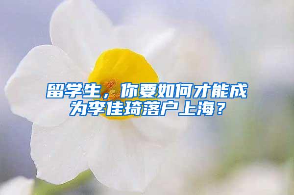 留学生，你要如何才能成为李佳琦落户上海？