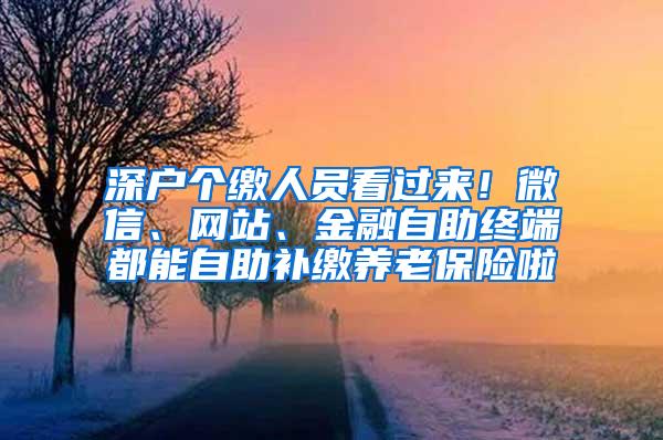 深户个缴人员看过来！微信、网站、金融自助终端都能自助补缴养老保险啦