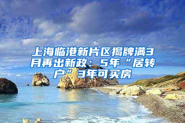 上海临港新片区揭牌满3月再出新政：5年“居转户”3年可买房