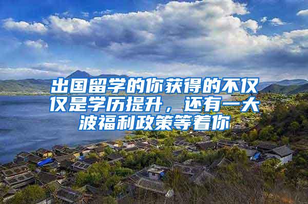 出国留学的你获得的不仅仅是学历提升，还有一大波福利政策等着你