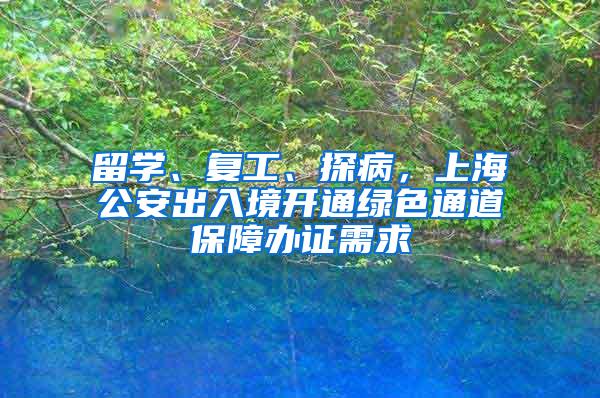 留学、复工、探病，上海公安出入境开通绿色通道保障办证需求