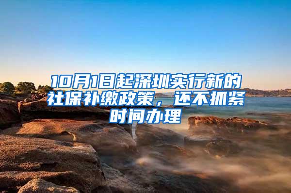 10月1日起深圳实行新的社保补缴政策，还不抓紧时间办理