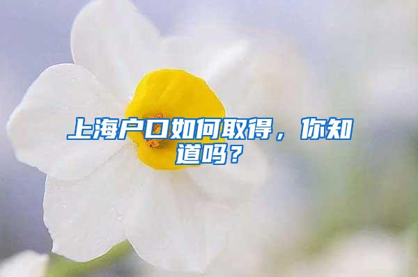 上海户口如何取得，你知道吗？