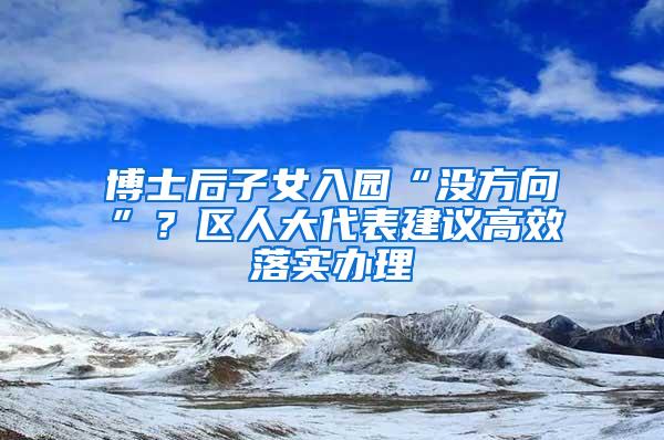 博士后子女入园“没方向”？区人大代表建议高效落实办理