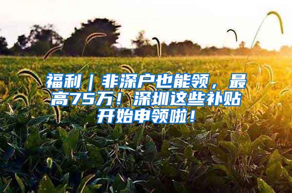 福利｜非深户也能领，最高75万！深圳这些补贴开始申领啦！