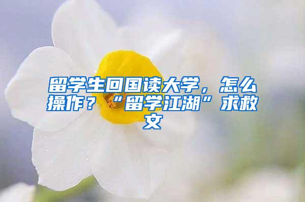 留学生回国读大学，怎么操作？“留学江湖”求救文