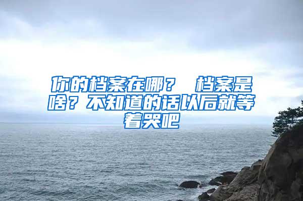 你的档案在哪？ 档案是啥？不知道的话以后就等着哭吧