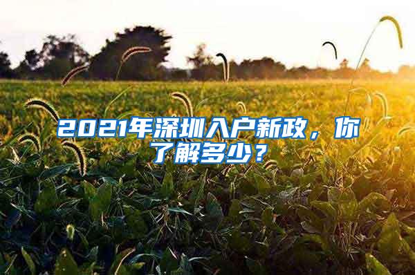 2021年深圳入户新政，你了解多少？