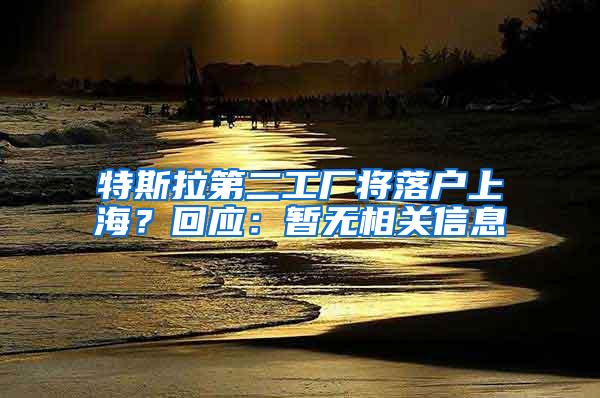 特斯拉第二工厂将落户上海？回应：暂无相关信息