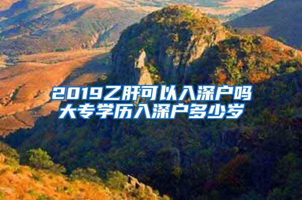 2019乙肝可以入深户吗大专学历入深户多少岁