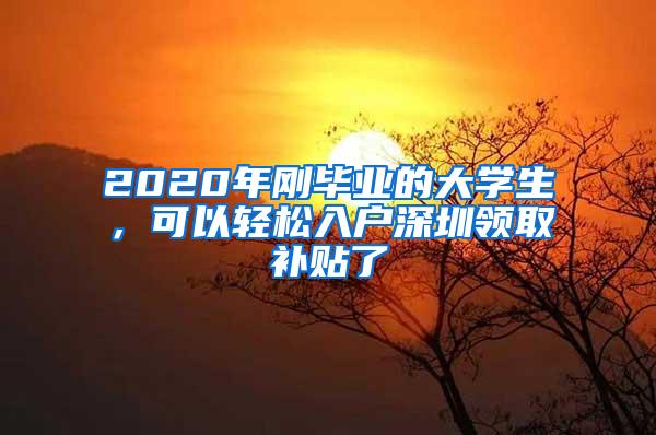 2020年刚毕业的大学生，可以轻松入户深圳领取补贴了