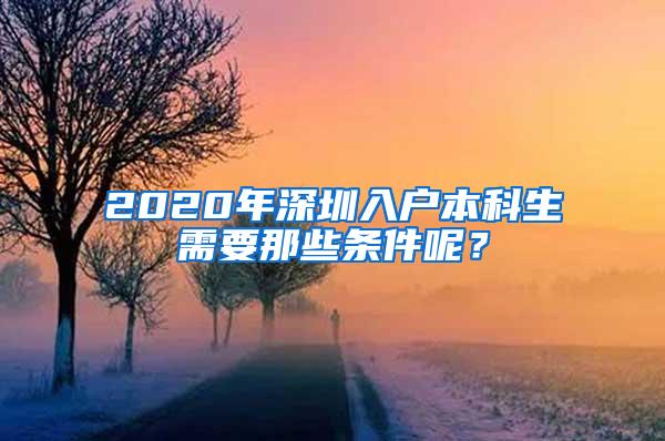 2020年深圳入户本科生需要那些条件呢？