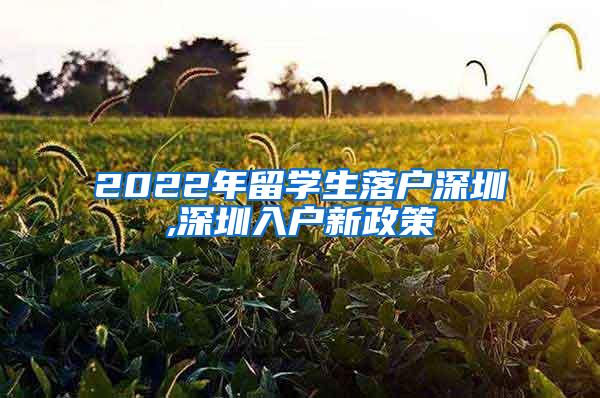 2022年留学生落户深圳,深圳入户新政策