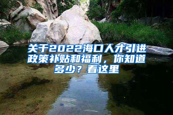 关于2022海口人才引进政策补贴和福利，你知道多少？看这里