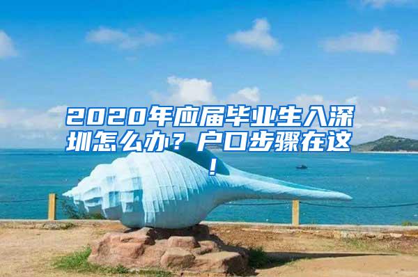 2020年应届毕业生入深圳怎么办？户口步骤在这！