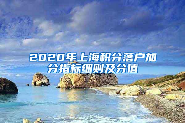 2020年上海积分落户加分指标细则及分值