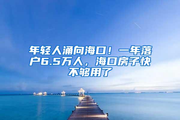 年轻人涌向海口！一年落户6.5万人，海口房子快不够用了