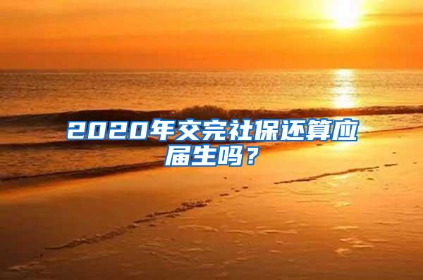 2020年交完社保还算应届生吗？