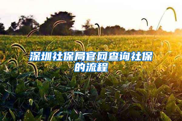 深圳社保局官网查询社保的流程