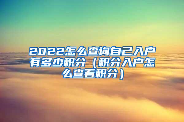 2022怎么查询自己入户有多少积分（积分入户怎么查看积分）