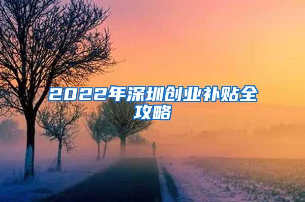 2022年深圳创业补贴全攻略