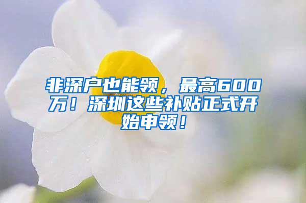 非深户也能领，最高600万！深圳这些补贴正式开始申领！