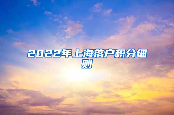 2022年上海落户积分细则