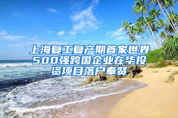 上海复工复产期首家世界500强跨国企业在华投资项目落户奉贤