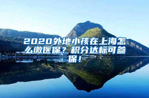 2020外地小孩在上海怎么缴医保？积分达标可参保！