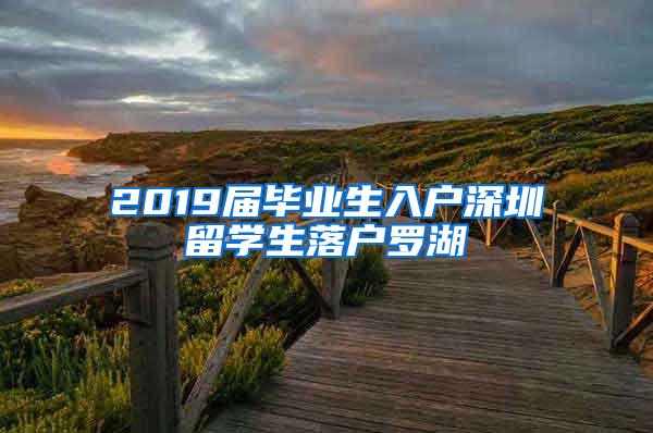 2019届毕业生入户深圳留学生落户罗湖