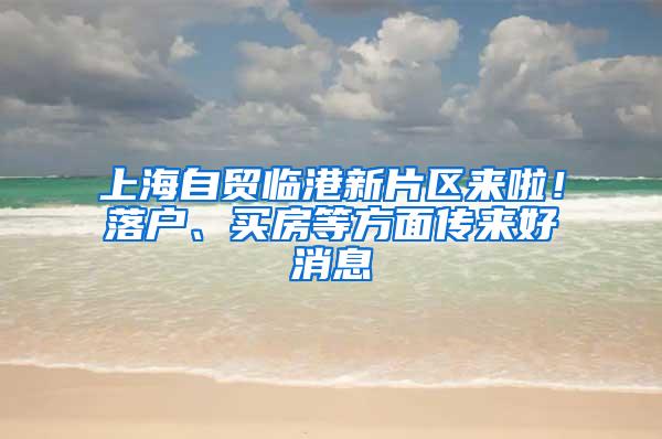 上海自贸临港新片区来啦！落户、买房等方面传来好消息