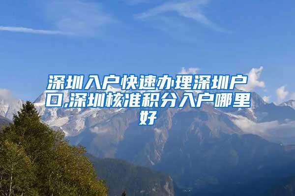 深圳入户快速办理深圳户口,深圳核准积分入户哪里好