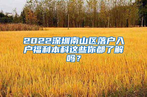 2022深圳南山区落户入户福利本科这些你都了解吗？