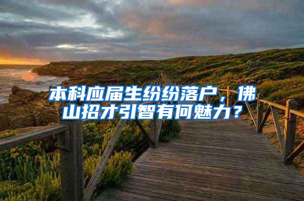 本科应届生纷纷落户，佛山招才引智有何魅力？