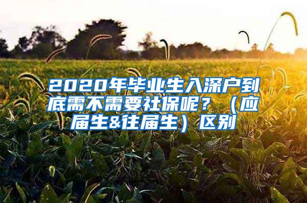 2020年毕业生入深户到底需不需要社保呢？（应届生&往届生）区别