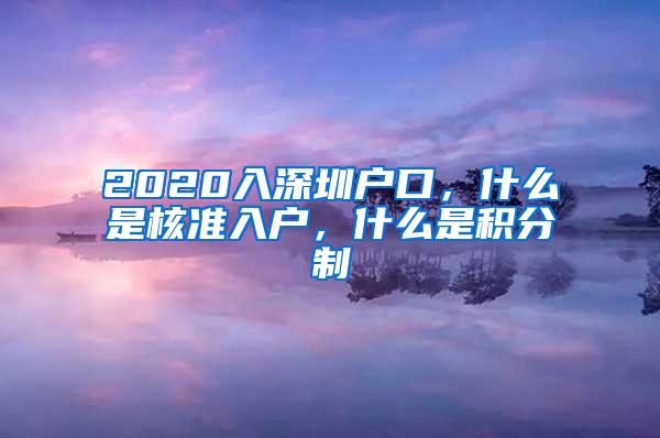 2020入深圳户口，什么是核准入户，什么是积分制