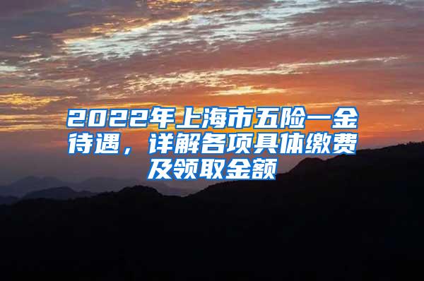 2022年上海市五险一金待遇，详解各项具体缴费及领取金额