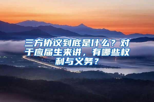 三方协议到底是什么？对于应届生来讲，有哪些权利与义务？